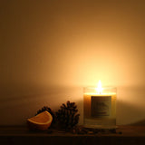 Nota Bene Pomander Scented Candle