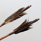 Vintage African Arrows c1900